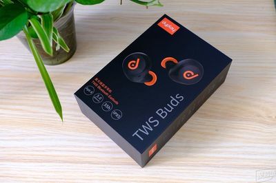 乐享无线,与声俱来,dyplay TWS Buds初体验